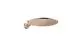 AXOR-HG-AXOR-ShowerSolutions-Kopfbrause-350-1jet-mit-Brausearm-Polished-Red-Gold-26034300 gallery number 1